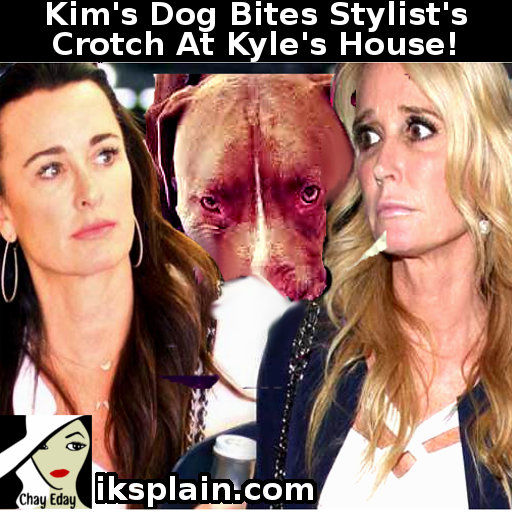 Kim Richards dog bites stylist at Kyle Richards Home.