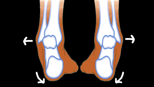 Chay-Eday-supination-feet